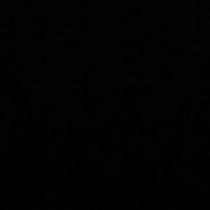 Meet your Posher, Ava